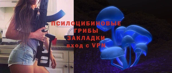 бошки Пересвет