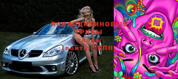 ПСИЛОЦИБИНОВЫЕ ГРИБЫ Пестово