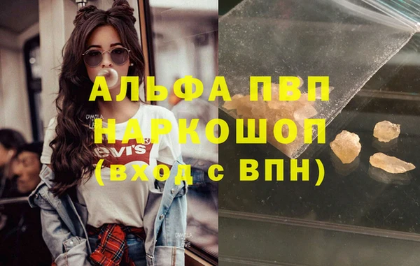 бошки Пересвет