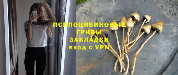 синтетический гашиш Переславль-Залесский