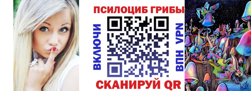 Псилоцибиновые грибы ЛСД  Купить  Елец 