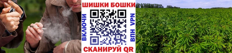 Бошки марихуана Amnesia  Купить закладки  Елец 